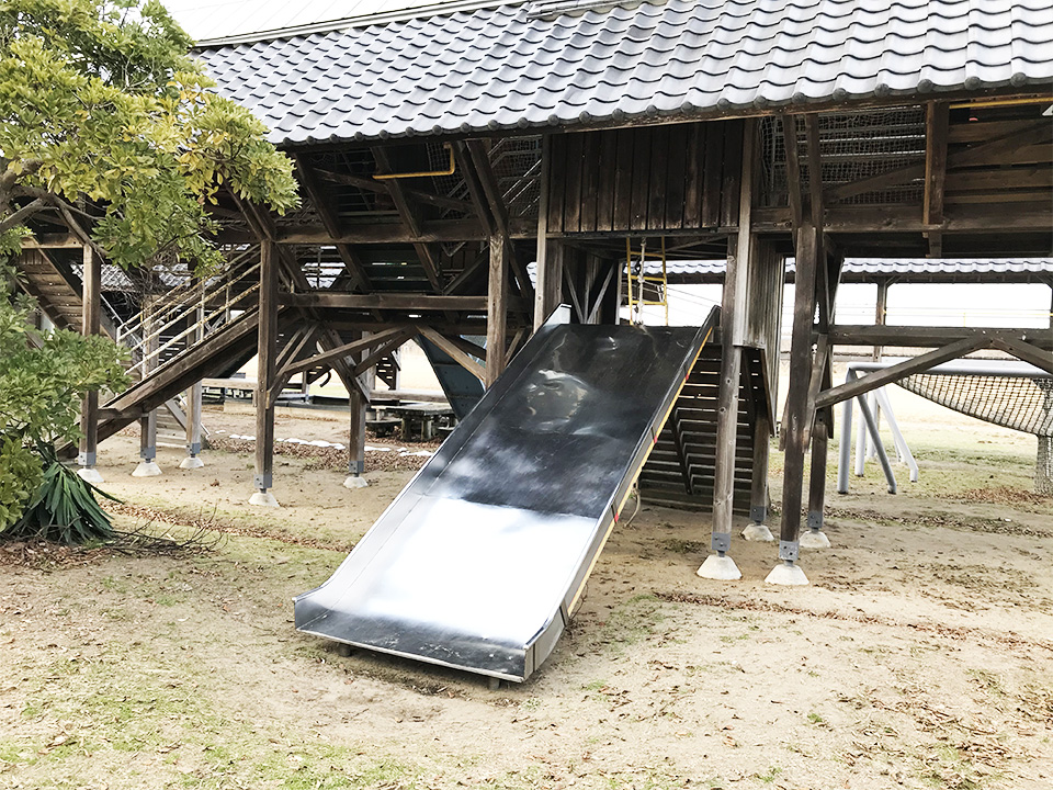 hachigasakiwakuwakuyumerando_image11