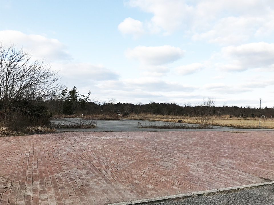 hachigasakiwakuwakuyumerando_image12