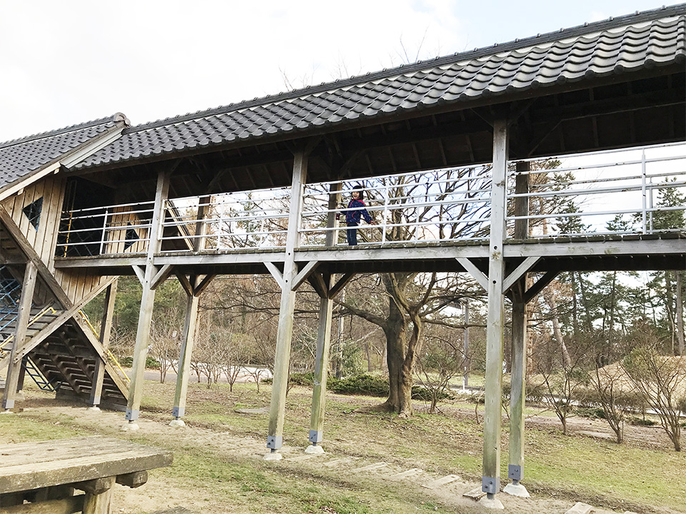 hachigasakiwakuwakuyumerando_image6