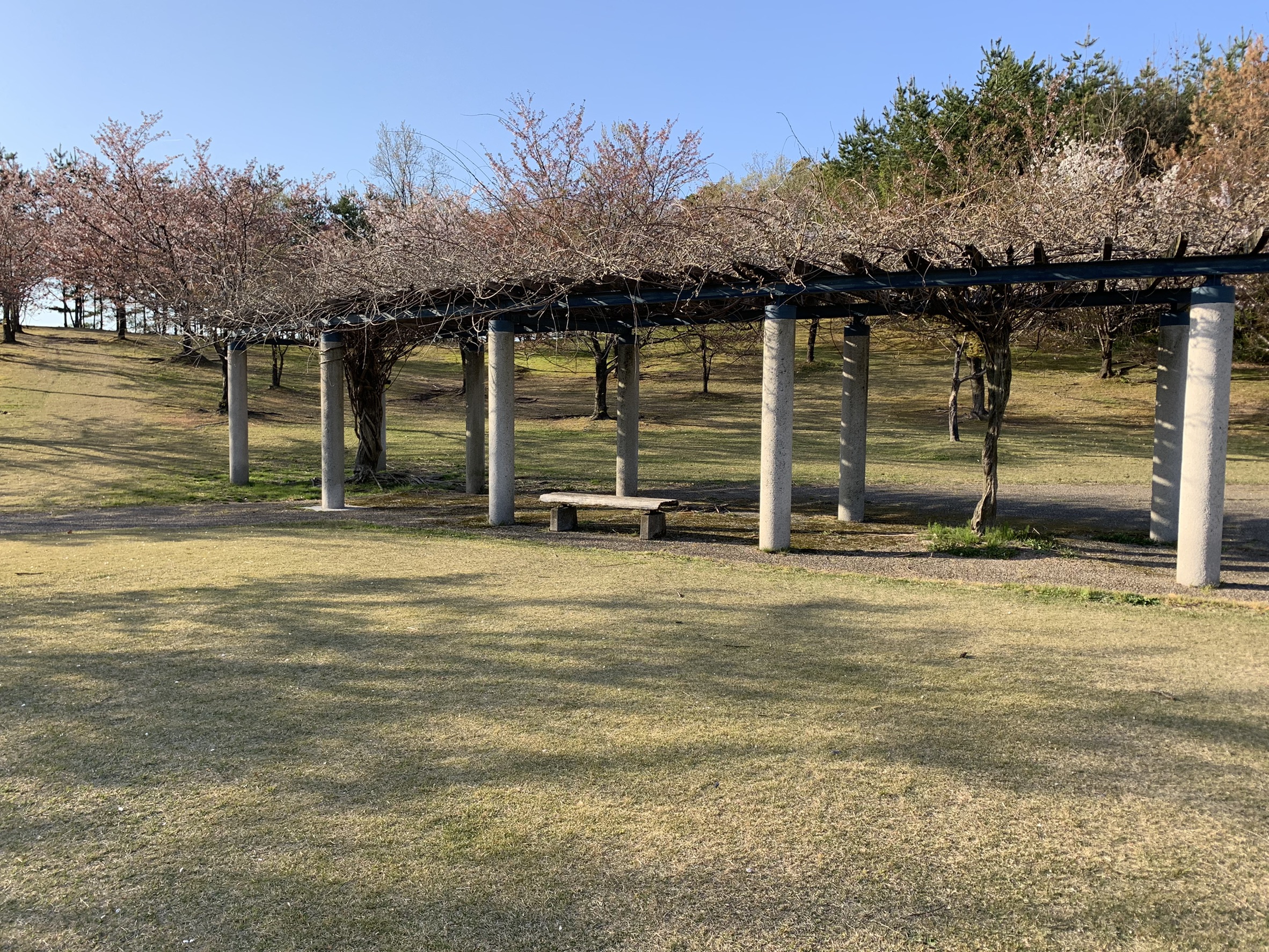 monomiyamakoen_image6