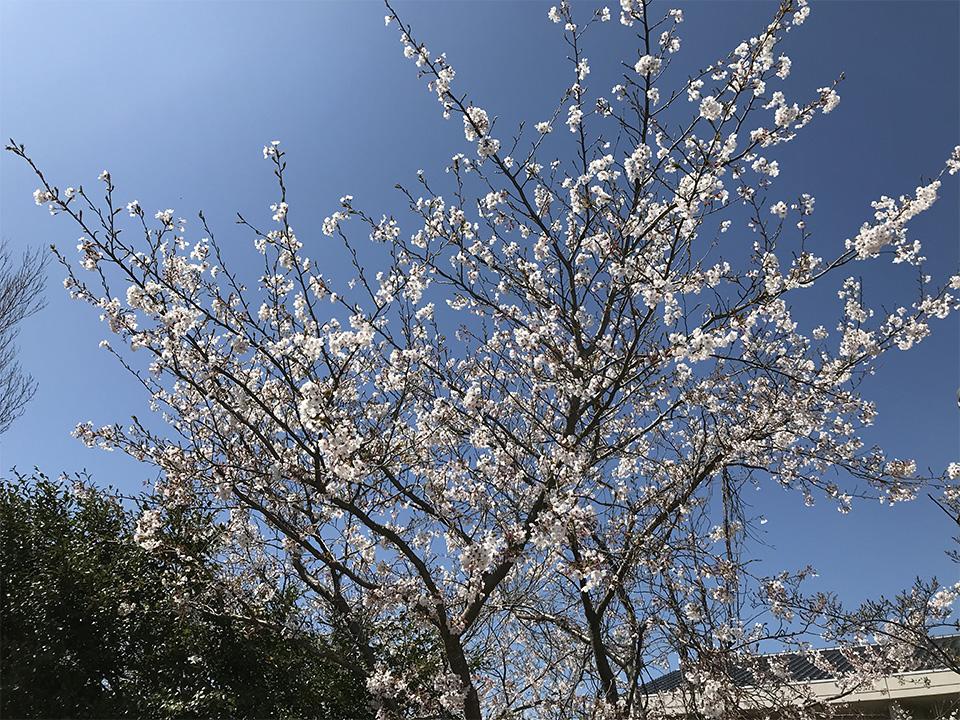 takahamahoikuenyoko_image5